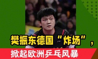 樊振东留洋才2个月，德甲的3次破例，暴露人情冷暖，刘国梁说对了